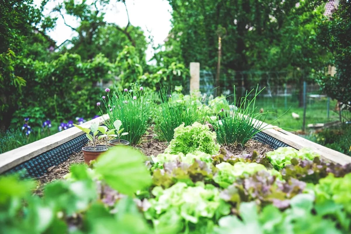 Agricultural Technology Solutions